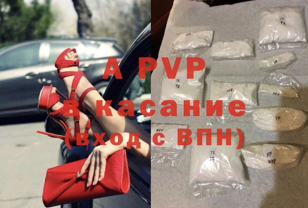 сатива Тайга
